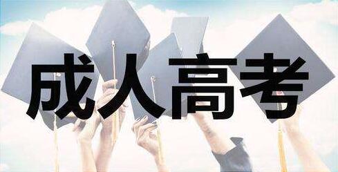 2020年山東成人高考高起專語(yǔ)文試題(07.02)每日一練