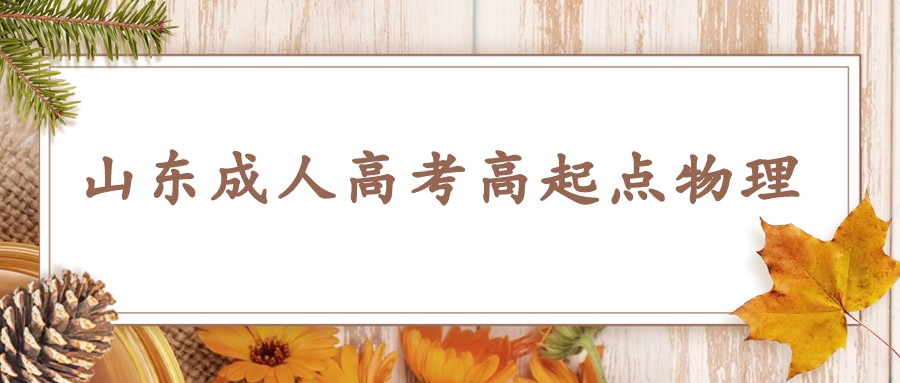 山東成人高考高起點物理