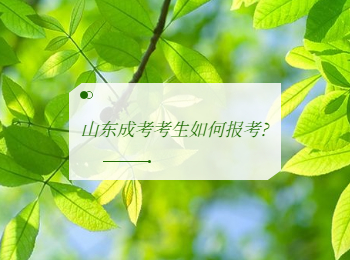 山東成考考生如何報考