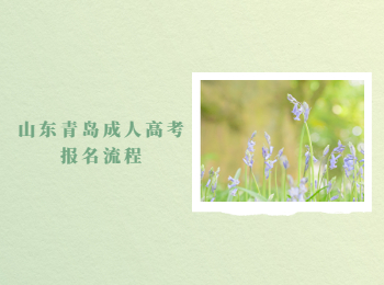 山東青島成人高考報(bào)名流程