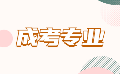 山東成考有哪些專業(yè)比較實(shí)用?