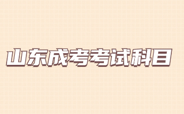 2024年山東成人高考考什么?