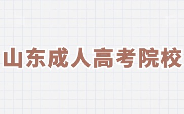 2024年山東省成人高考可以考的院校有哪些?