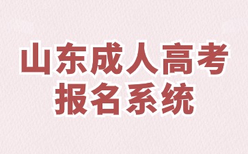 2024年山東成人高考報(bào)名系統(tǒng)什么時(shí)候開放?、