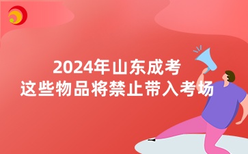 2024年山東成考