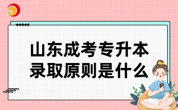 山東成考專升本錄取原則是什么