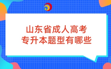 山東省成人高考專升本題型有哪些