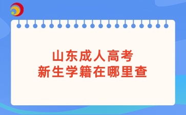 山東成人高考新生學(xué)籍在哪里查